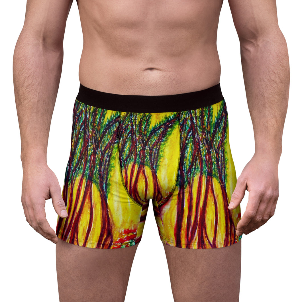 Men's Boxer Briefs (AOP)