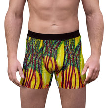 Load image into Gallery viewer, Men&#39;s Boxer Briefs (AOP)