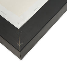 Load image into Gallery viewer, Matte Canvas, Black Frame