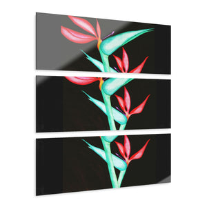 Acrylic Prints (Triptych)