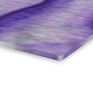Acrylic Prints (Triptych)